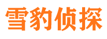 眉县市婚姻调查